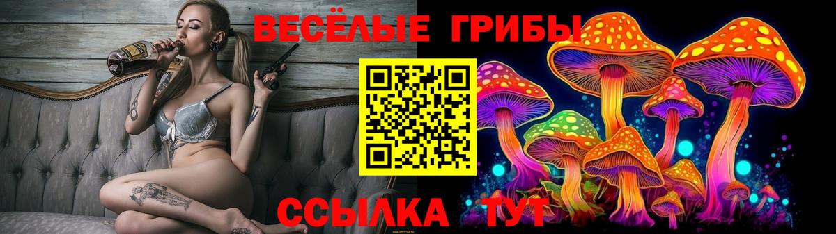 Галлюциногенные грибы Psilocybe Москва
