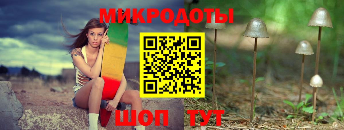 Псилоцибиновые грибы Psilocybe  Псилоцибиновые грибы мухоморы  Москва  Вход с VPN 