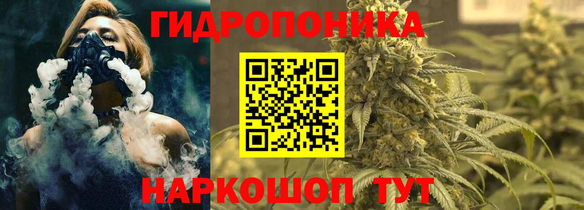 Каннабис Bruce Banner Москва